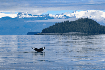 When to do Alaskan Cruise 